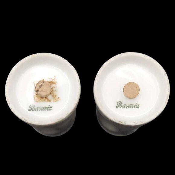 Vintage Bavaria Cameo Rose Hand-Painted Porcelain Salt & Pepper Shakers - Picture 6 of 6